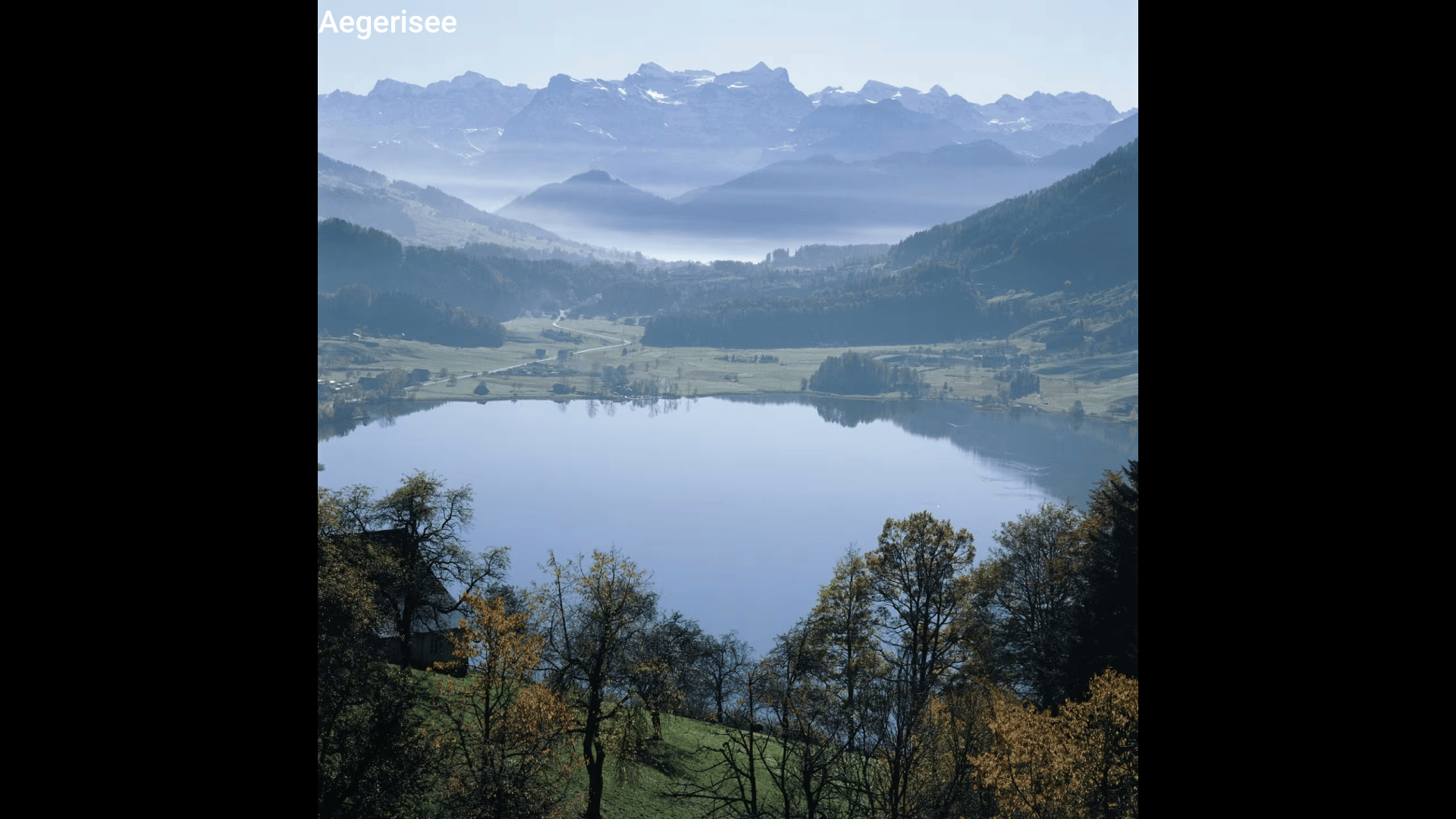 bilder1.gif
